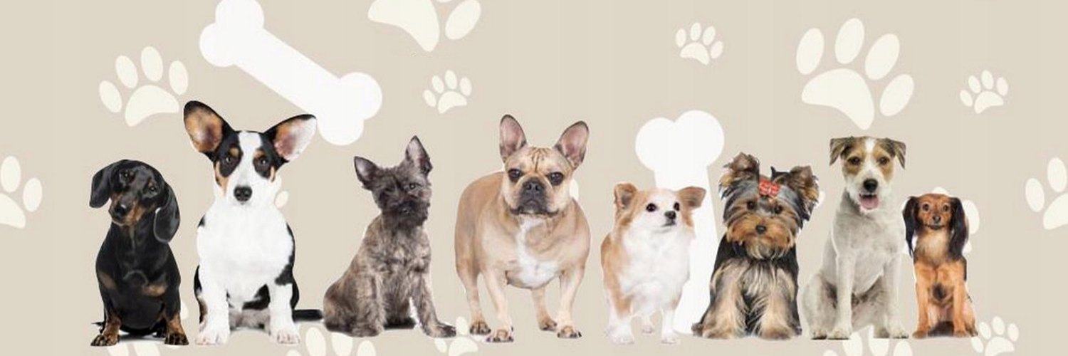 Gyvūnų transportavimo krepšys